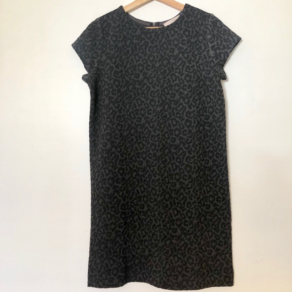 NWT Ann Taylor Loft Petites Shift Dress